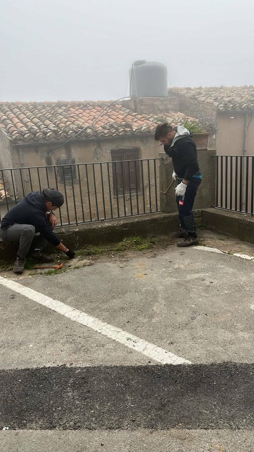 Pollina: operazione di pulizia e cura del verde