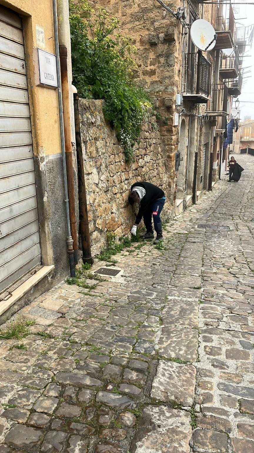 Pollina: operazione di pulizia e cura del verde