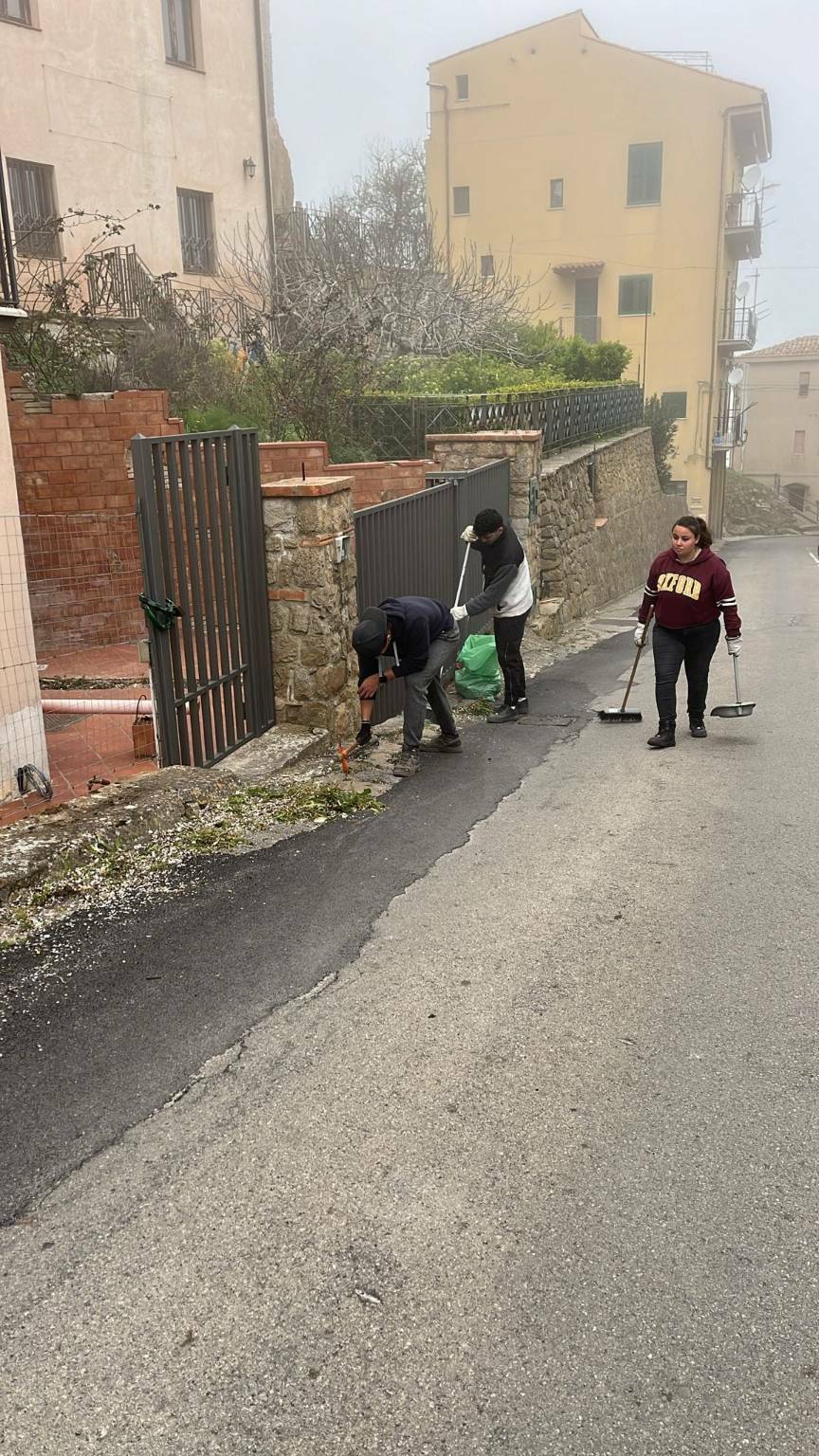 Pollina: operazione di pulizia e cura del verde