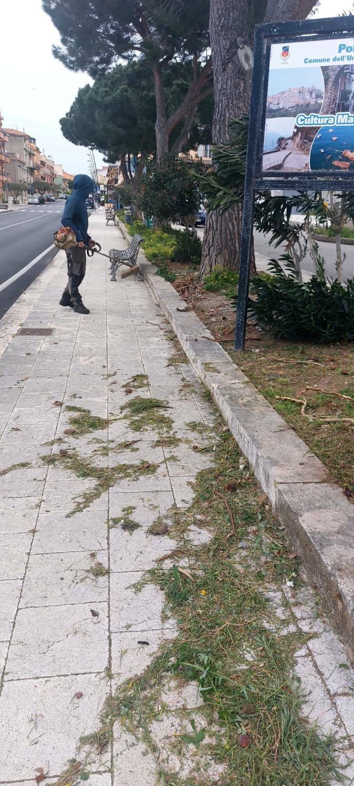 Pollina: operazione di pulizia e cura del verde