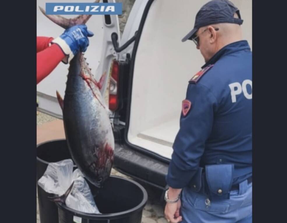 Sequestro tonno polizia 