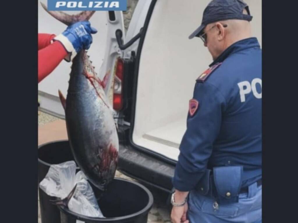 Sequestro tonno polizia 