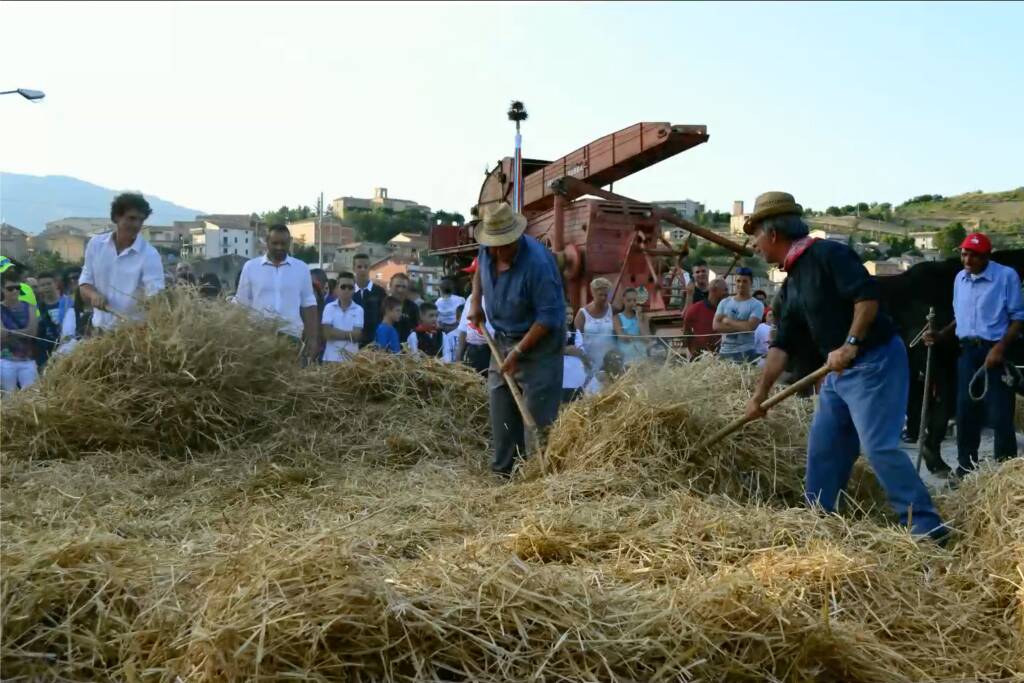 Sagra del Grano