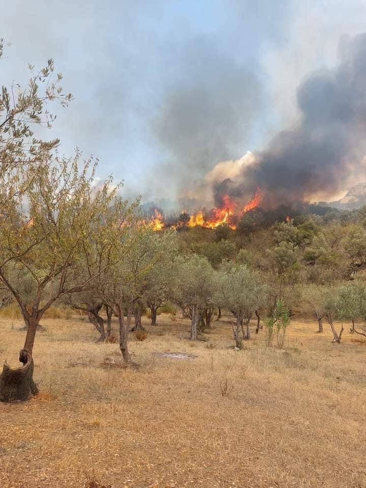 Incendio Polizzi